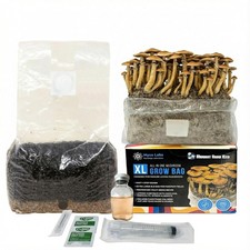 Myco Labs 6LB All-in-One Manure-Loving Mushroom Grow Bag + Spore Germination Jar picture