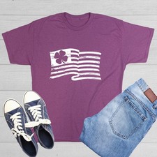 Irish American Flag Sarcastic Humor Graphic Novelty Funny T Shirt picture