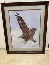 Vintage Enoch Kelly Haney “Golden Eagle” /425 *Read Description* picture