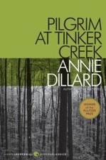 Pilgrim At Tinker Creek picture