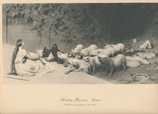 115+yr Original c1910 Antique Art Print CIRCE AND HER SWINE By Briton Rivière picture