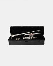 Flag Trumpet BB PITCH Shinning NICKEL With case super HARD CASE picture