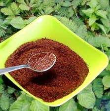 Mimosa Pudica Seed Powder Lajwanti Churn Organic Dormilones Humble Plant 4Kg picture