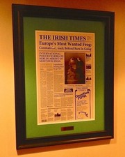 THE MUPPETS MOST WANTED IRISH TIMES FRAMED NEWSPAPER RARE WITH PLAQUE KERMIT COA picture