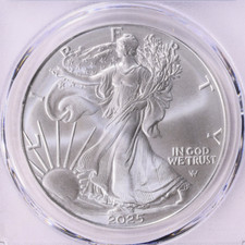2025 1 oz American Silver Eagle Coin picture