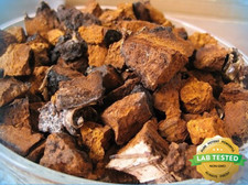 Pure Wild Alaska Dried Chaga Mushroom Chunks Organic 1 Pound picture