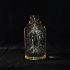Lightning in a Bottle / Lichtenberg Figure Physics Art 2