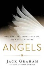 Angels: Who They Are, What They Do, and Why It Matters - Hardcover - VERY GOOD picture
