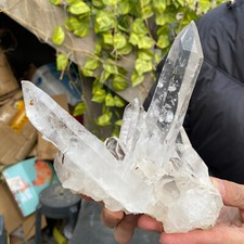 2.3LB A+Large Natural clear white Crystal Himalayan quartz cluster /mineralsls picture