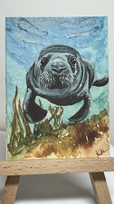 ACEO PRINT Manatee 