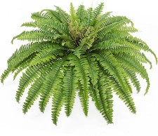 Artificial Ferns for Outdoors & Indoors, 40In Large Faux Ferns 39 Fronds Fake Bo picture