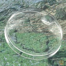 Rolex 25-116 Glass PlexiGlass Crystal Cyclope 1675 | 16750 | 1655 NEW Original picture