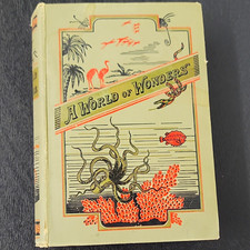 A World of Wonders by Julia McNair Wright (1901, Hardcover) 1st Illus picture
