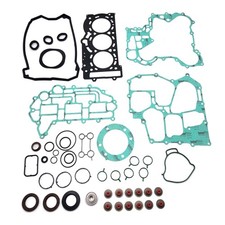 Complete Full Engine Rebuild Gasket Kit for Sea-Doo 900 ACE 4-Stroke (2014-2024) picture