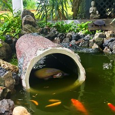 Hollow Log Hideaway Extra Large Realistic Stump Hideout for Reptiles & Ponds picture