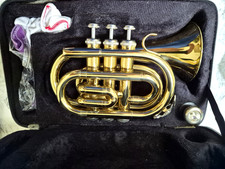ammoon Bb Flugelhorn 3 Valve Gold Brass w/ Mouthpiece Case Brand New picture