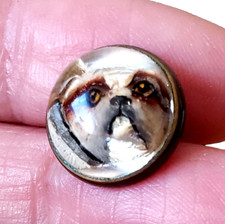 ONE Antique Button Bulldog Essex Crystal Type Waistcoat Intaglio Glass Dog picture