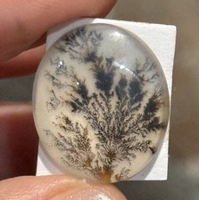 12.9ct 20.8x18x5.2mm Dendritic Agate Crystal Doublet Oval Cabochon Picture Stone picture