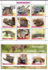 Stamp sheet+block Leopardus Colocolo Cat 2022 South Ossetia issue Wild  Cats picture