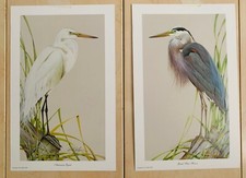 Heron/Egret 