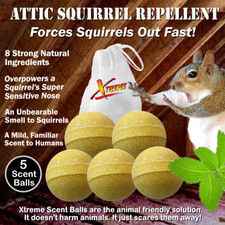 Xtreme Attic Squirrel Repellent. Drives Squirrels Out Fast 5 Pack picture