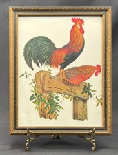 Vintage 1956 Athos Menaboni Brown Leghorn Rooster Hen Print Framed picture