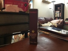 NIB Luxury Juice Beauty Illuminating Base Primer 01 Luminous 15 ml picture