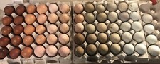 Hatching Eggs RAINBOW LAYERS 6+ Rare Ayam Cemani / Marans / Olive Eggers +NPIP picture