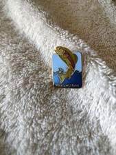 Vintage Yellowstone Park Enamel Fish Pin picture