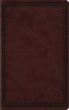 ESV Large Print Value Thinline Bible: New picture
