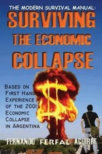 The Modern Survival Manual: Surviving the Economic Collapse picture