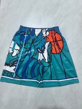New Charlotte Hornets Swing Men heat transfer printing Basketball Shorts picture