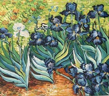 Irises Vincent Van Gogh Style Original On Canvas  Vtg20