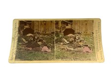 Antique Liberty Brand Stereoview The End of the Beginning Hand Colored Photo picture