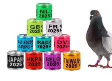 Pigeon ring:(50 )pcs (2025) and10 diferent color , brand New,  best pigeon Ring. picture