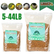 5-44LB Dried Black Soldier Fly Larvae Mealworms for Chicken Birds Treats Premium picture