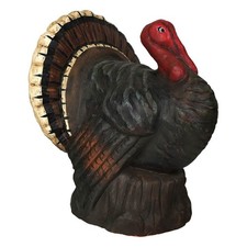 Large Robust Turkey picture