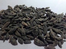 HARITAKI BLACK CHEBULIC MYROBALAN TERMINALIA CHEBULA HARDA -  picture