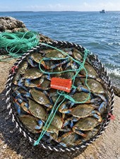 Thicker 17.8-inch diameter crab/fishing trap – includes 20 meters of rope. picture