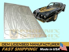 1979 1980 1981 Firebird Trans Am Special Edition Bandit formed Stripes Only Kit picture