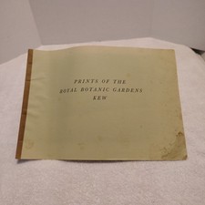 Prints of the Royal Botanic Gardens Kew ~ 7 Pages 10