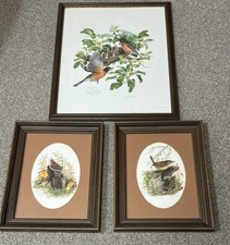 3 Bird Lithographs- Don Whitlatch (Robins, Carolina Wren, House Wren) DISCOUNTED picture