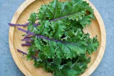 500 RED RUSSIAN KALE SEEDS ~ heirloomseedguy ~ 2026 ~ NON-GMO picture