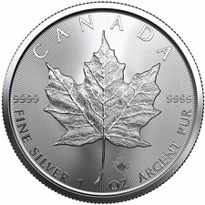 2023 1 oz Canadian Silver Maple Leaf Coin (BU) picture