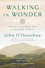 Walking in Wonder: Eternal - Hardcover, by O'Donohue John; Quinn - Very Good b picture
