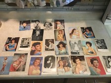 1960's Kreuger Bardot Darnell Clayton Sophia Loren Lollobrigida Postcard Lot 24 picture