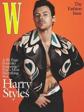 Harry Styles W Magazine The Fashion Issue Pop Star Editorial Portrait picture