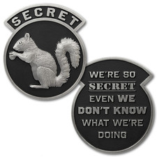 NEW USAF Secret Squirrel We're So Secret Challenge Coin picture