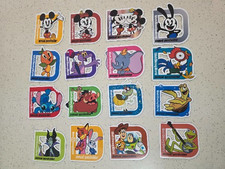 Walt Disney World Passholder Magnet 2026 Set Of 16 Magnets (Homemade) picture