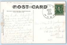DPO (1883-1922) Tolt WA Postcard Anthropomorphic Teddy Bear Fred Cavally 1908 picture